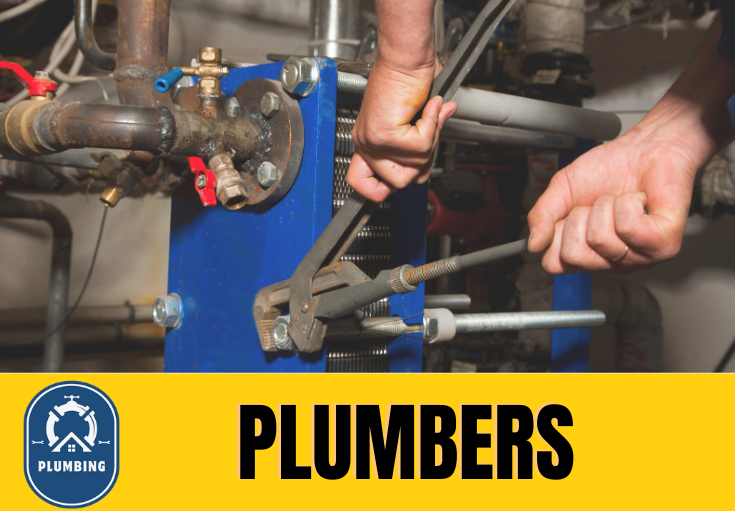  plumber Rainhill